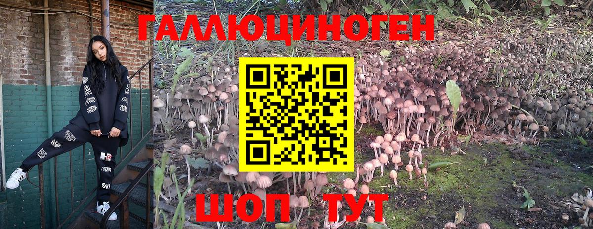 Кинель  Галлюциногенные грибы Psilocybine cubensis  Вход с VPN  Галлюциногенные грибы мухоморы 